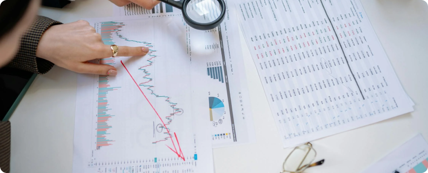 wealth-optimization-image